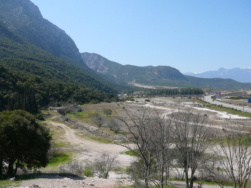View of nature